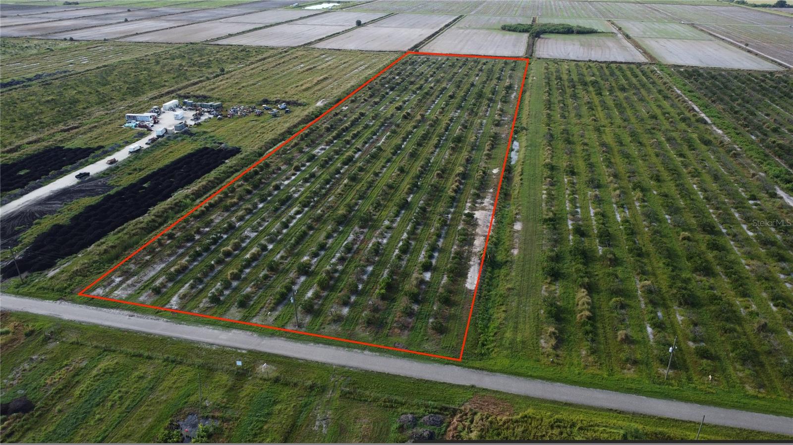 SPRAWLING ACREAGE OFFERING THE PEACE AND QUIET OF COUNTRY LIFE OR HOBBY FARMING WITH THIS BUILDABLE 10 ACRE HOMESITE. Currently used as 10 acres of Citrus Grove featuring paved road frontage and electric nearby located within Charlotte County! The central location between Fort Myers, Punta Gorda, or DeSoto County is ideal- take your pick of convenient commute to Historic Downtown Arcadia, gorgeous Lee County beaches and Babcock Ranch, or rooftop and waterfront Punta Gorda amenities. Want a hobby citrus project or possibilities to grow other agriculture produce? Here is your opportunity! Start your agricultural operation today or BUILD YOUR DREAM HOME! Additional lots also available!