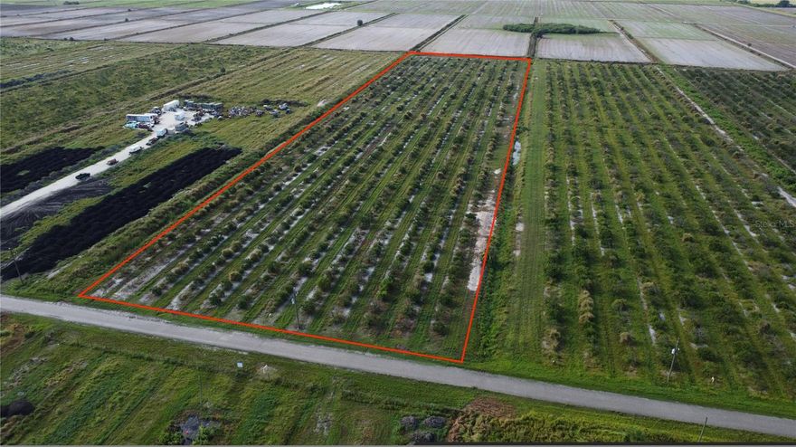 SPRAWLING ACREAGE OFFERING THE PEACE AND QUIET OF COUNTRY LIFE OR HOBBY FARMING WITH THIS BUILDABLE 10 ACRE HOMESITE. Currently used as 10 acres of Citrus Grove featuring paved road frontage and electric nearby located within Charlotte County! The central location between Fort Myers, Punta Gorda, or DeSoto County is ideal- take your pick of convenient commute to Historic Downtown Arcadia, gorgeous Lee County beaches and Babcock Ranch, or rooftop and waterfront Punta Gorda amenities. Want a hobby citrus project or possibilities to grow other agriculture produce? Here is your opportunity! Start your agricultural operation today or BUILD YOUR DREAM HOME!  Additional lots also available!