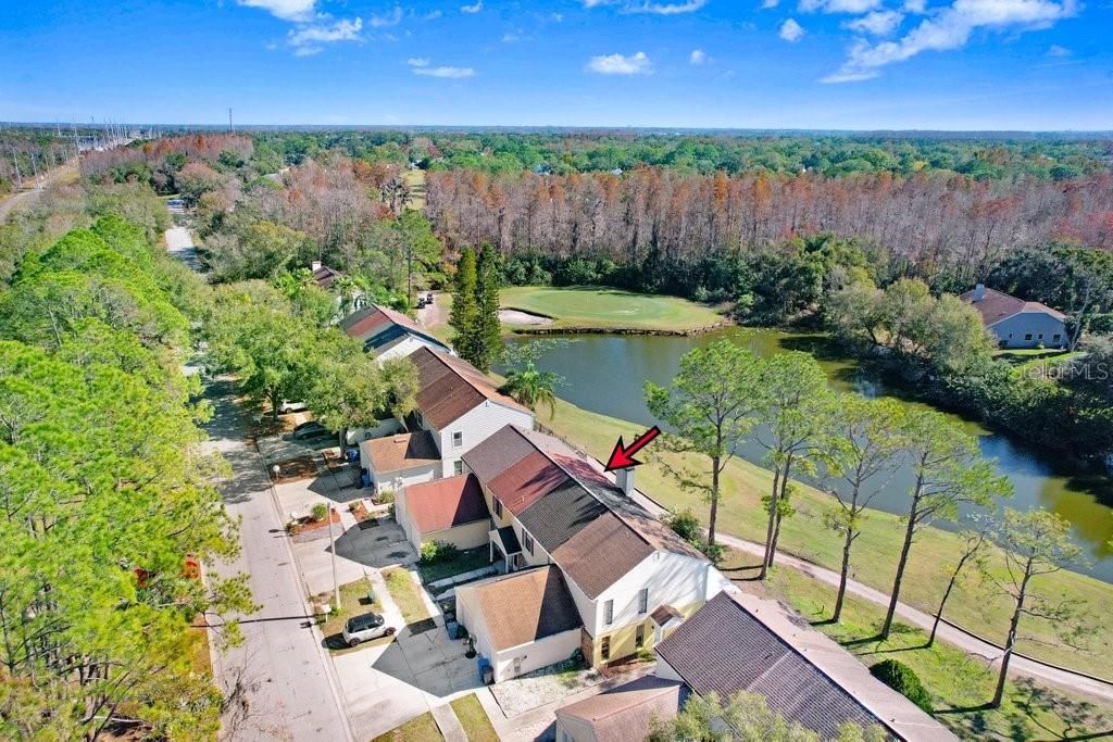 Photo of 5129 Northdale Boulevard, Tampa, FL 33624 (MLS # A4678939)