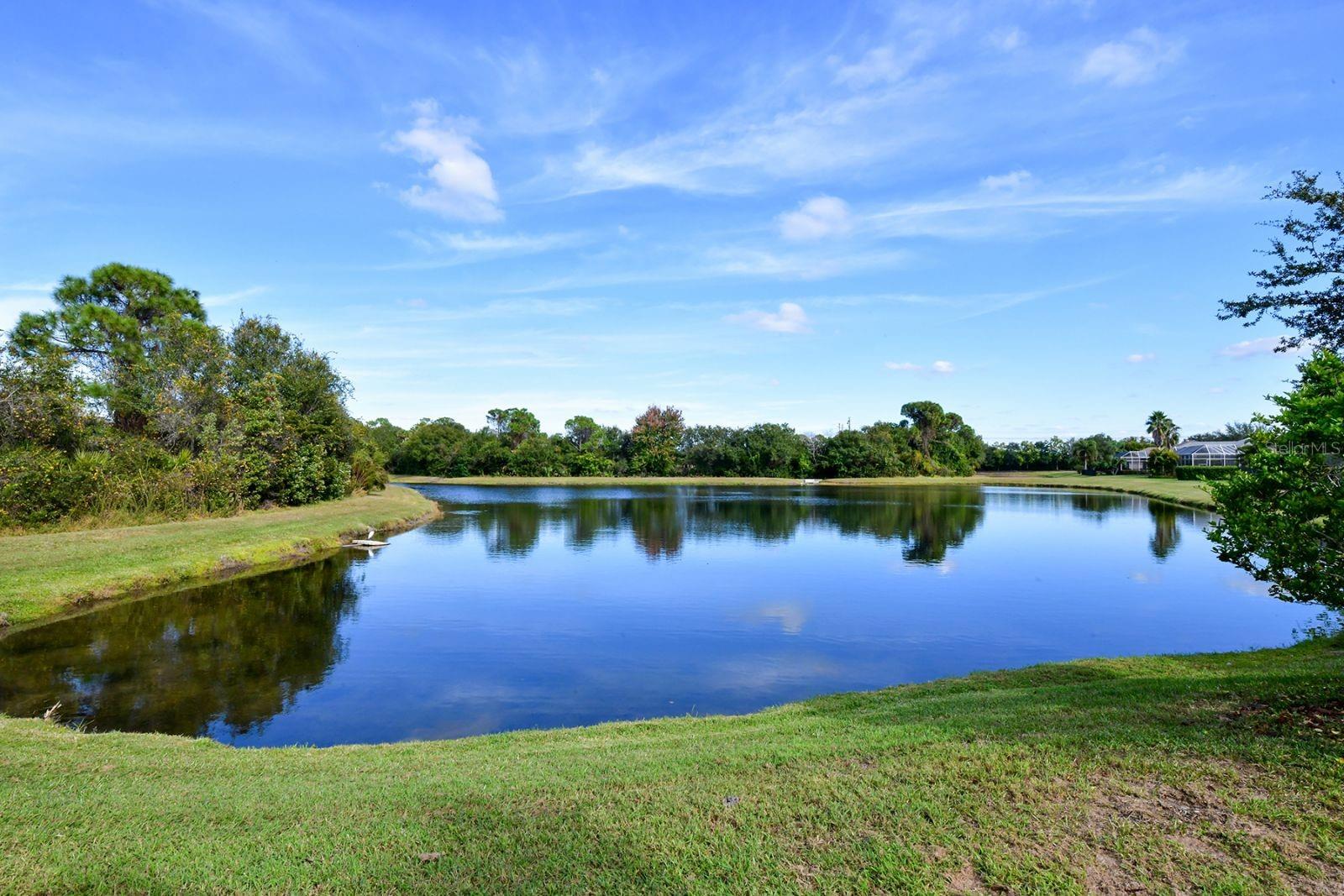 INDIGO RIDGE AT UNIVERSITY PLACE - Residential