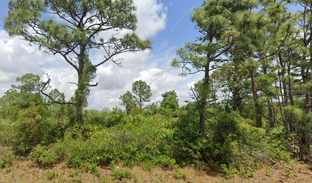 Photo of 12118 Strett Avenue, Port Charlotte, FL 33981 (MLS # OM733369)