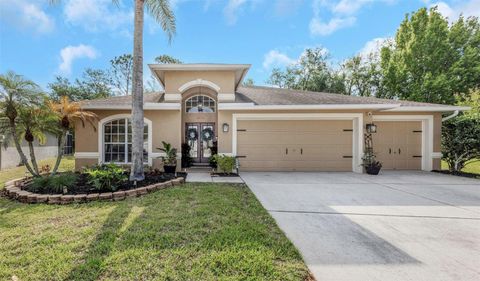 4604 PURPLE TIGER COURT LUTZ FL 33558