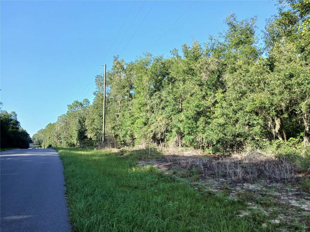 Photo of 10762 N Academy Drive, Citrus Springs, FL 34434 (MLS # OM729887)