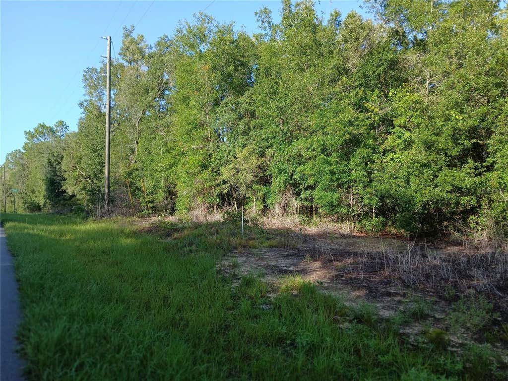 Photo of 10762 N Academy Drive, Citrus Springs, FL 34434 (MLS # OM729887)