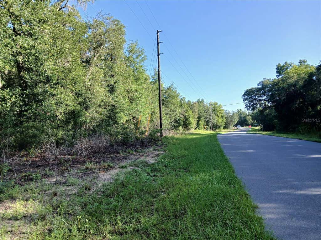 Photo of 10762 N Academy Drive, Citrus Springs, FL 34434 (MLS # OM729887)
