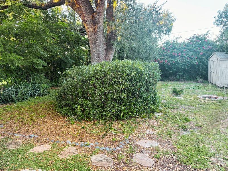 BILTMORE PARK SUB - Residential