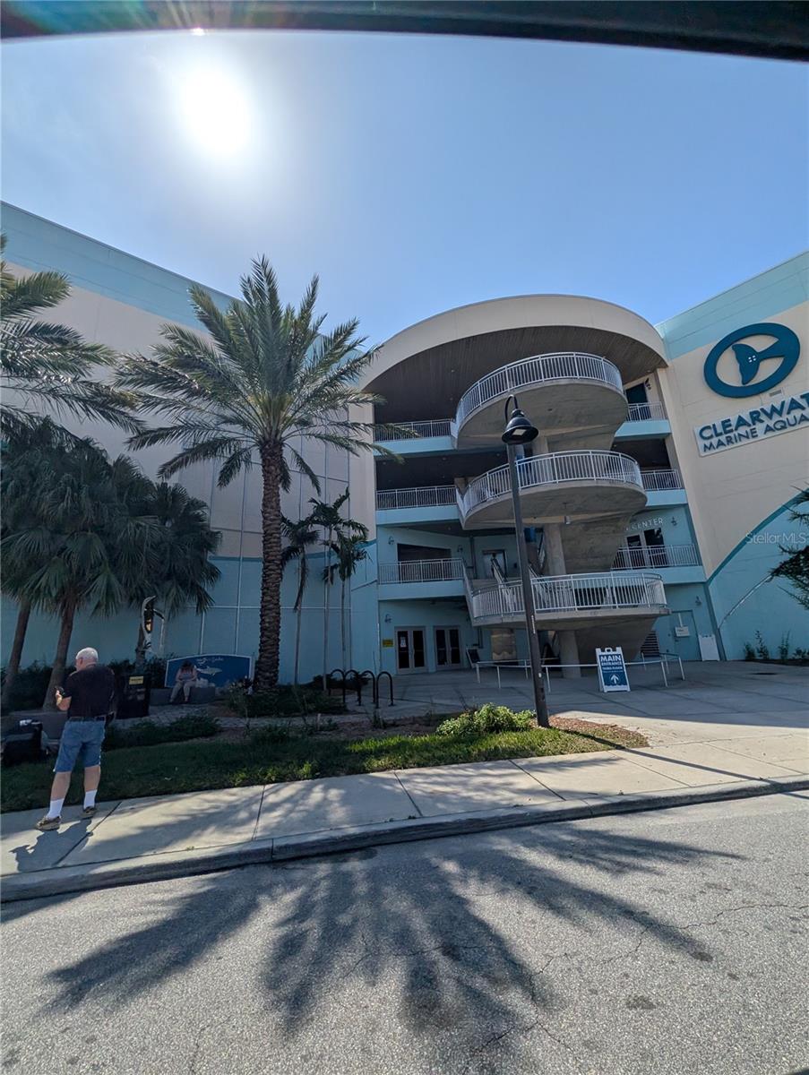 DOLPHIN COVE CLEARWATER - Residential Lease