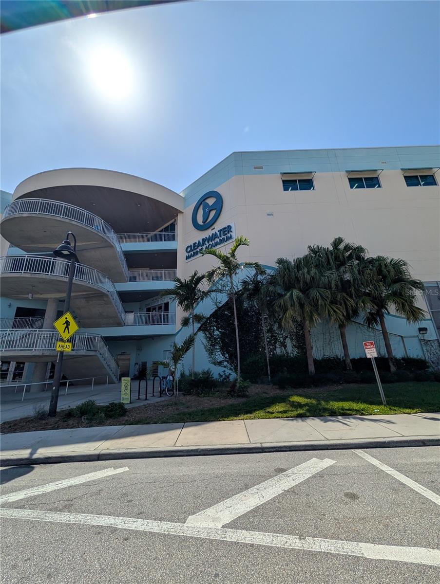 DOLPHIN COVE CLEARWATER - Residential Lease