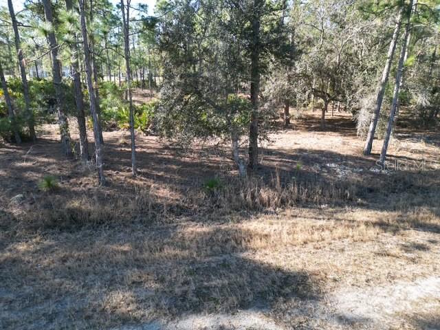 INDIAN LAKE ESTATES - Land