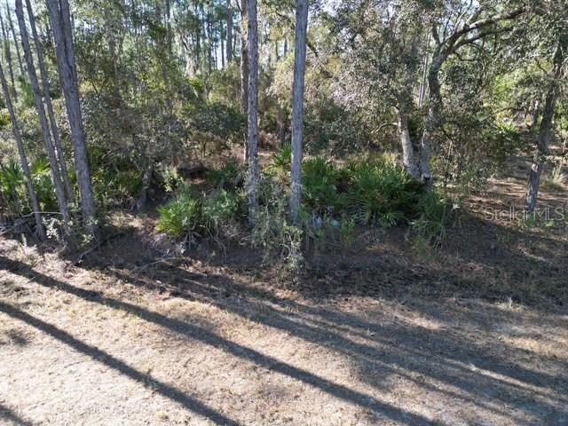 INDIAN LAKE ESTATES - Land