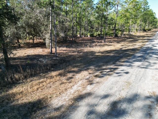 INDIAN LAKE ESTATES - Land