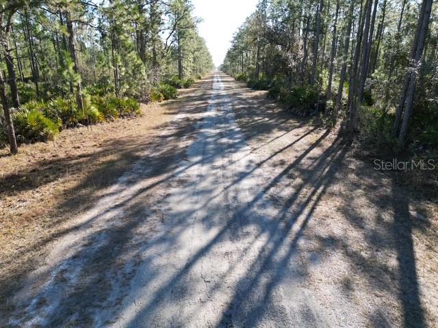 INDIAN LAKE ESTATES - Land