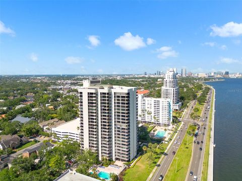 2413 BAYSHORE BOULEVARD 801 TAMPA FL 33629