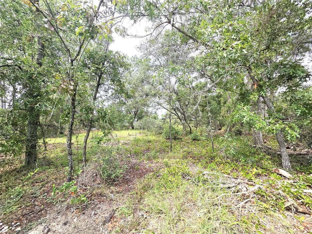 Photo of 13106 Scottville Street, Spring Hill, FL 34609 (MLS # TB8535846)
