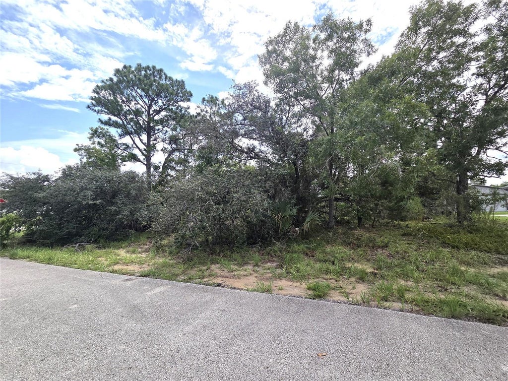 Photo of 13106 Scottville Street, Spring Hill, FL 34609 (MLS # TB8535846)