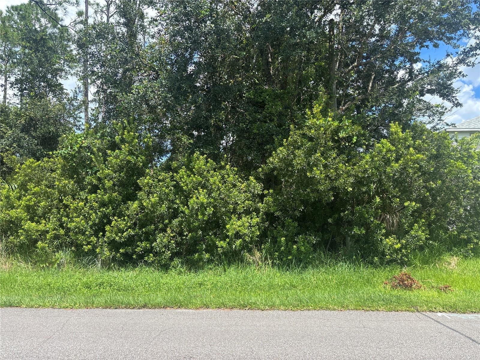 This vacant .24-acre homesite is the perfect blank canvas for your vision. Located in an area with easy access to local amenities, shopping, and schools, it offers the ideal balance of convenience and privacy. The lot is cleared, level, and ready for construction—saving you time and money in the building process. Whether you’re planning a primary residence, vacation retreat, or investment property, this site is ready to bring your plans to life. Don’t miss your chance to secure this build-ready property and start turning your dream into reality!