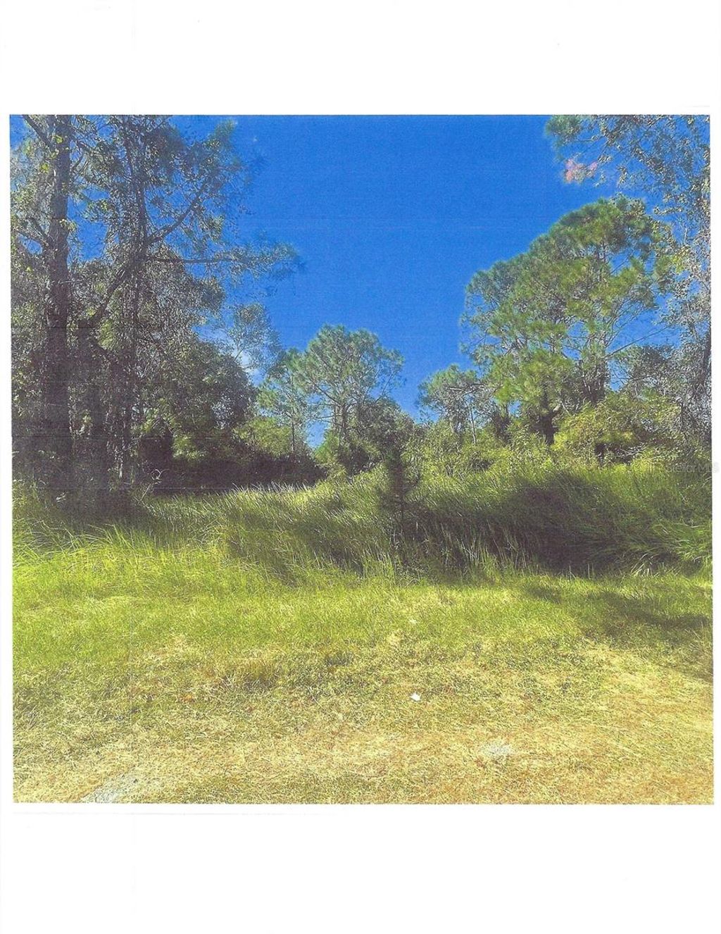 Photo of 1016 Orchid Drive, Indian Lake Estates, FL 33855 (MLS # O6305864)