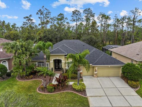 A home in WESLEY CHAPEL