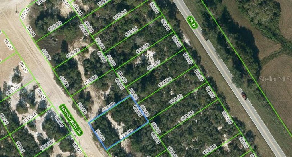 Photo of 712 Morningside Drive, Lake Placid, FL 33852 (MLS # OM624597)