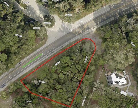 25906 SORRENTO AVENUE MOUNT PLYMOUTH FL 32776