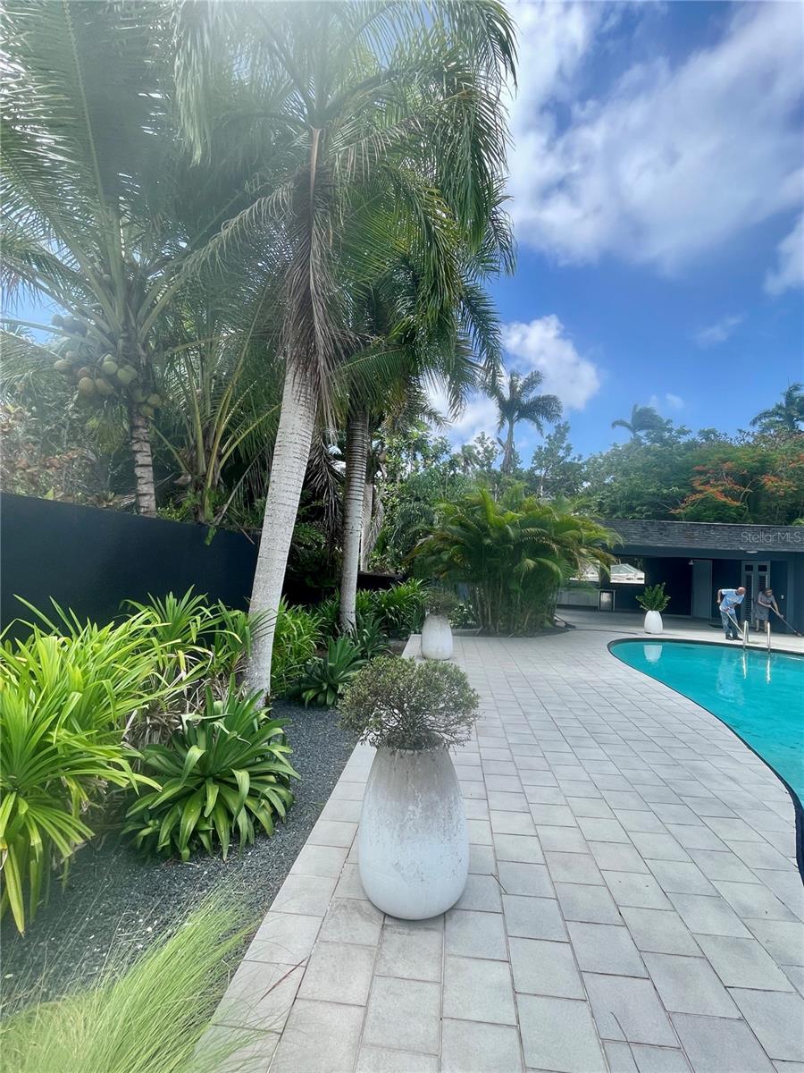 LAKE VIEW HOA - Residential