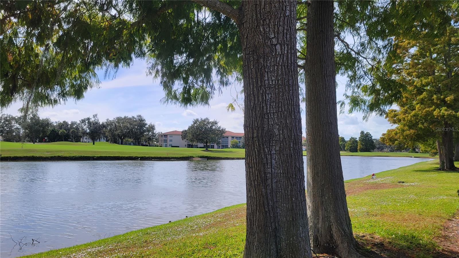 FAIRWAY GARDENS AT TARA - Residential