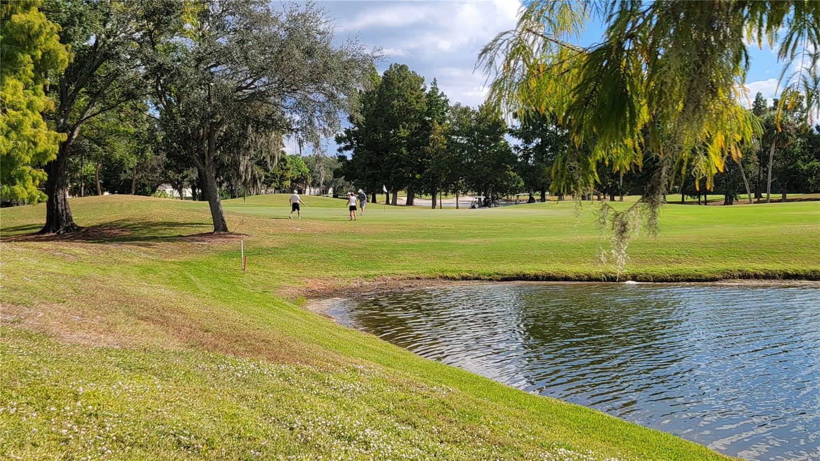 FAIRWAY GARDENS AT TARA - Residential