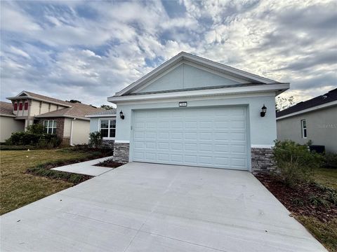 A home in MOUNT DORA