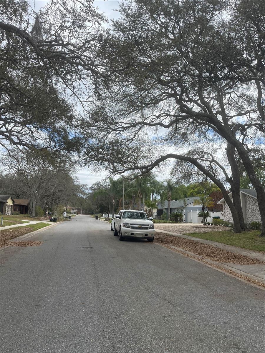 PINEWOOD VILLAGE - Residential