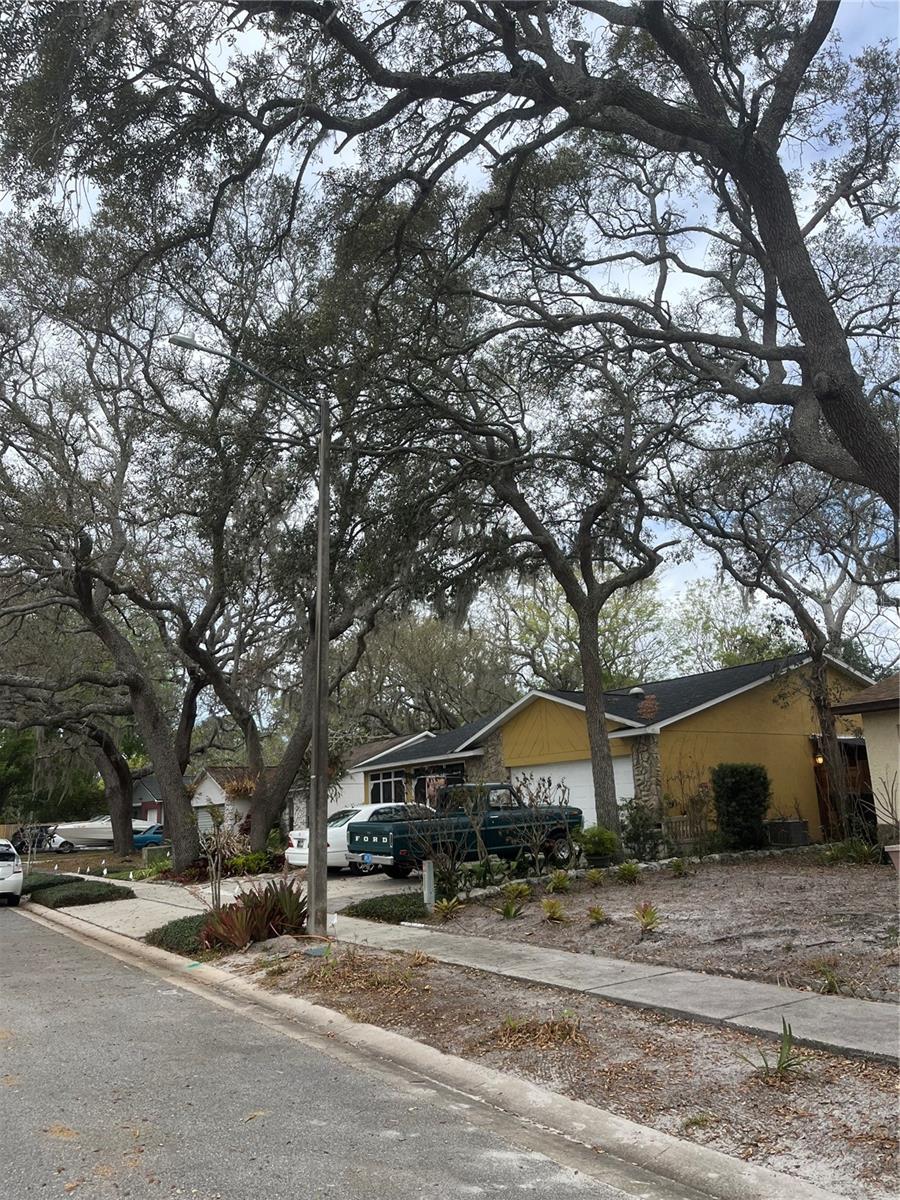 PINEWOOD VILLAGE - Residential