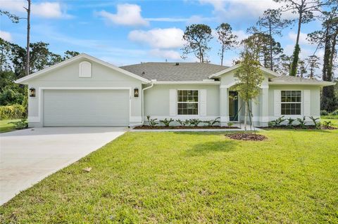 A home in PALM COAST