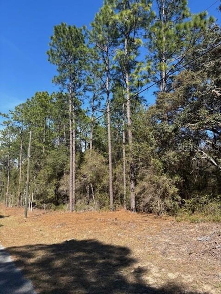 Beautiful .95-acre parcel in the much sought-after, Rainbow Acres community of Dunnellon, FL. Just 15 minutes from the World Equestrian Center. To the West you have lake Bonable and Tiger lake and to the south only minutes to Rainbow Springs State Park, Rainbow River, downtown Dunnellon, shopping, and dining.