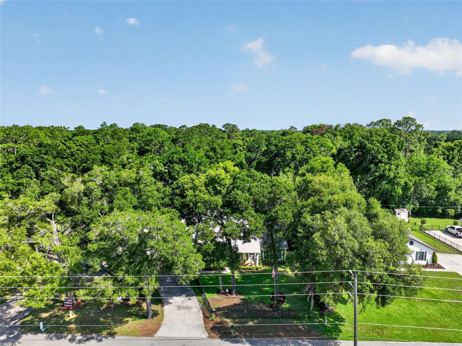 MOUNT PLYMOUTH - Residential