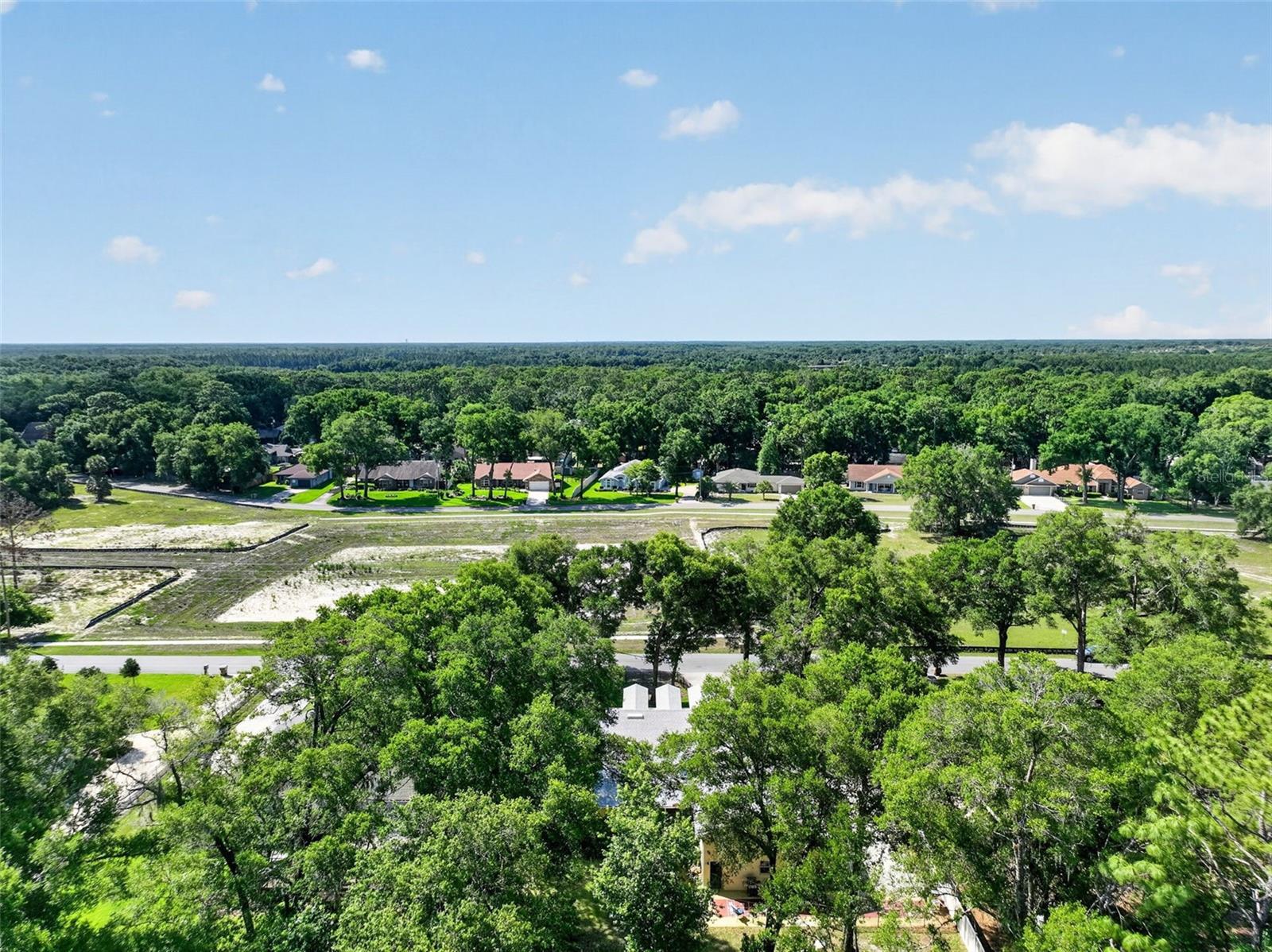 MOUNT PLYMOUTH - Residential