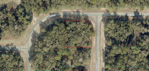 Photo of 8011 SW 145th Lane, Ocala, FL 34473 (MLS # A4689942)