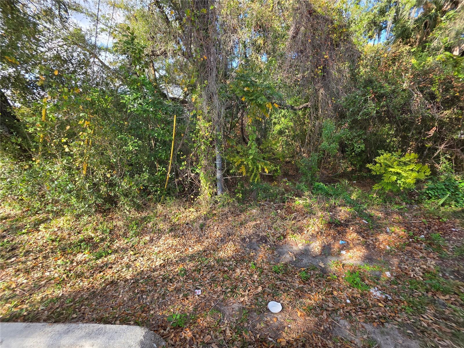 ACREAGE & UNREC - Land