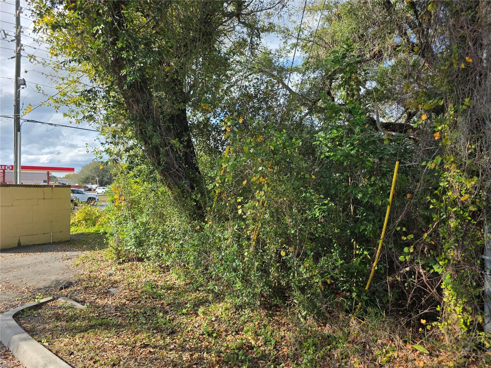 ACREAGE & UNREC - Land