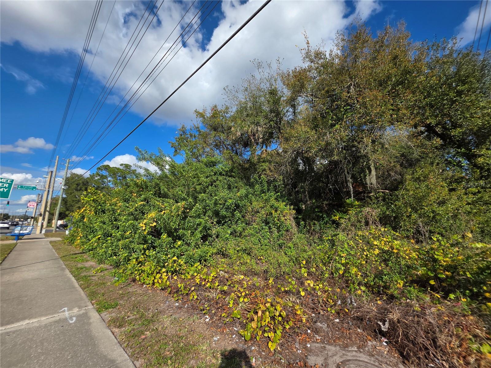 ACREAGE & UNREC - Land