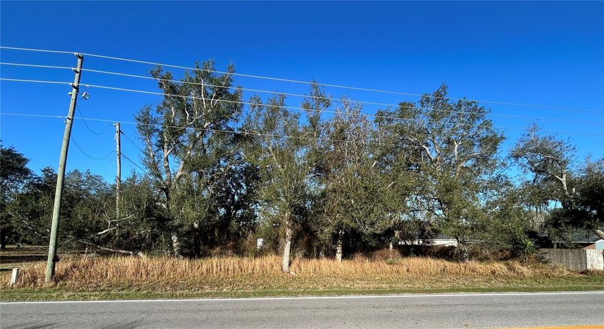 Vacant Land in a residential area. Perfect to build your dream home. Closed to restaurants, hospitals and shopping centers.  Buyer to verify zoning, land use, and building requirements.