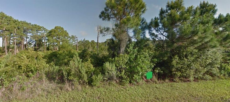 What a great time to build your dream home in a great location. The residents of Gulf Cove have the privilege of having one of the few private boat ramp facilities left in Port Charlotte. This is a great area for families who want to live the Florida Lifestyle. Great for Boating.


*Buyer is responsible for performing all due diligence including, but not limited to, availability of utilities, scrub-jay, wetlands, and tortoise restrictions and lot dimensions.*