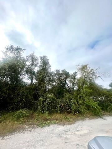 MOON LAKE ESTATES - Land