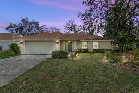 A home in ORLANDO