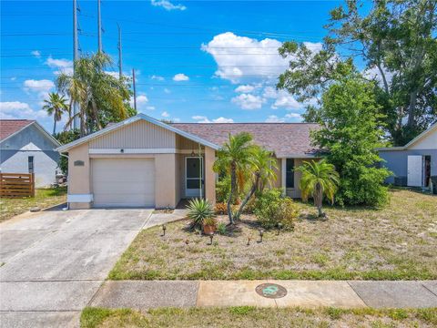 1034 MANDARIN DRIVE HOLIDAY FL 34691