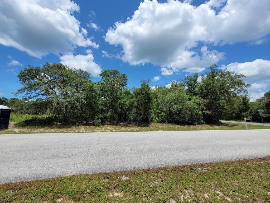 Photo of 0 SW 42nd Court Road (lot 13), Ocala, FL 34473 (MLS # OM727206)