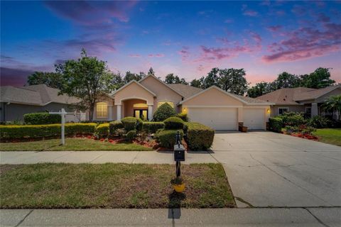 2515 CENTENNIAL FALCON DRIVE VALRICO FL 33596