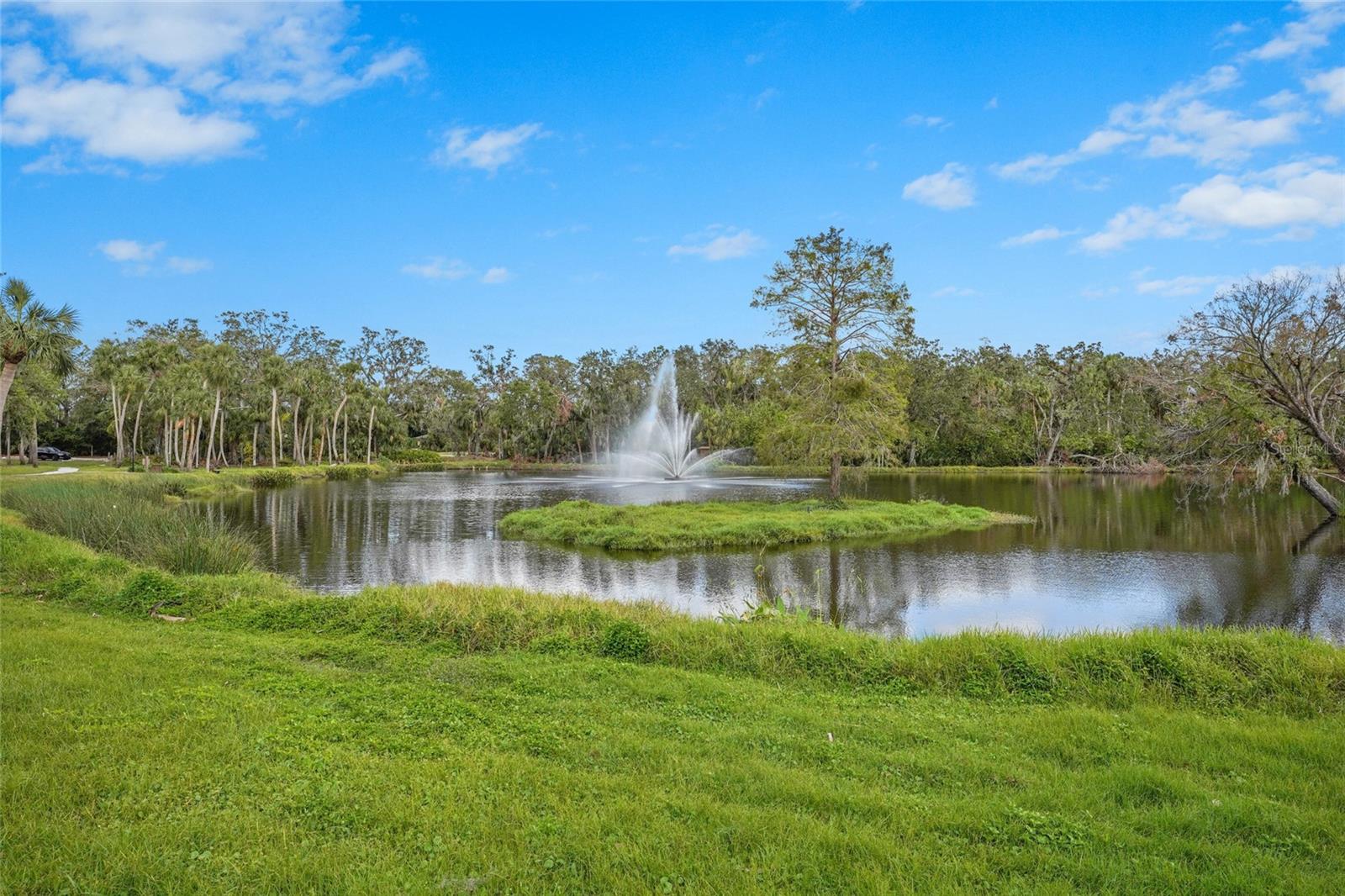 MEADOWLAKE I - Residential