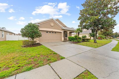 A home in LAND O LAKES