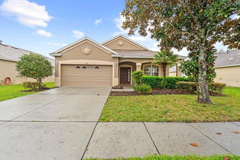 A home in LAND O LAKES