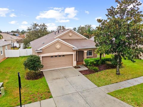 A home in LAND O LAKES