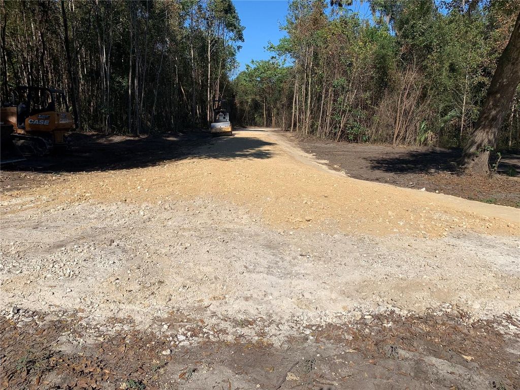 Photo of 0 NW 185th Street, Citra, FL 32113 (MLS # A4689193)